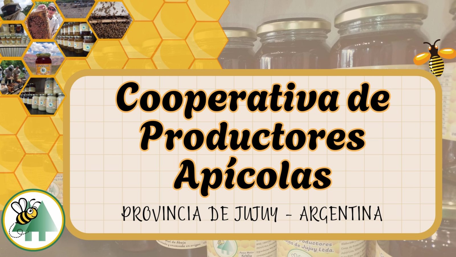 Apertura de colmena en las Yungas de Jujuy
