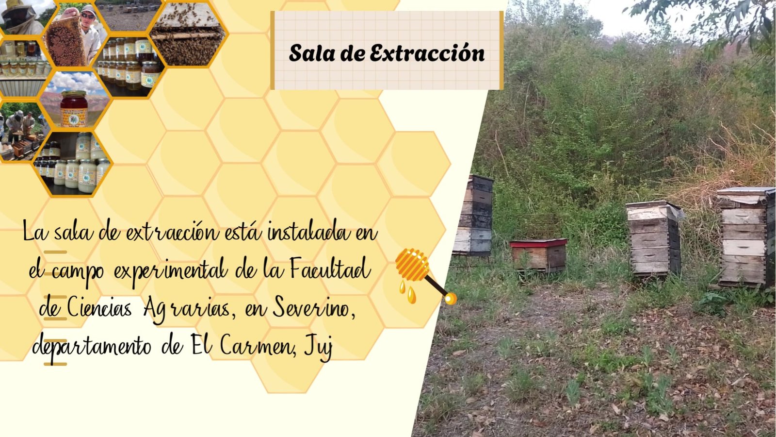 Sala comunitaria de extracción de Jujuy